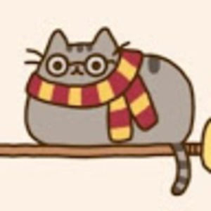 Meet your Posher, Ramon